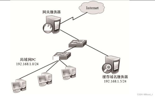 DNS域名解析服務的數據分析與存儲優化